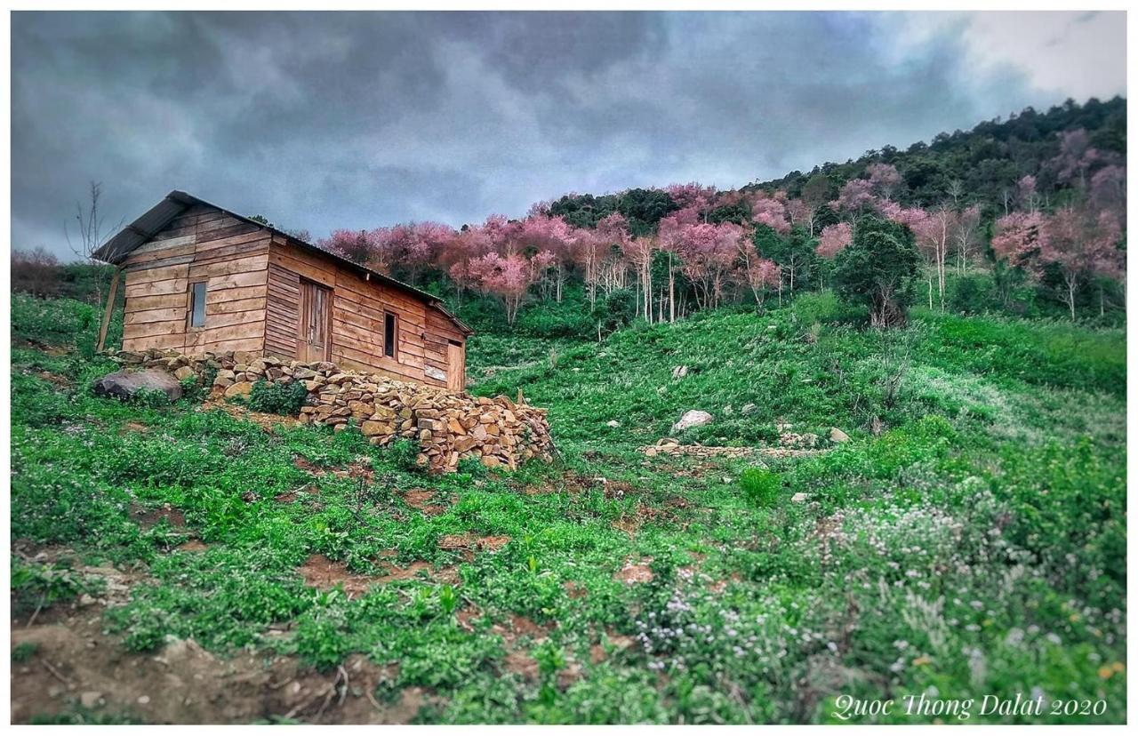 Vanila House ดาลัด ภายนอก รูปภาพ